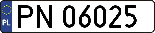 PN06025