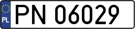 PN06029