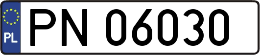 PN06030