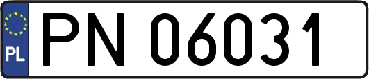 PN06031