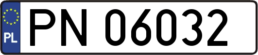 PN06032