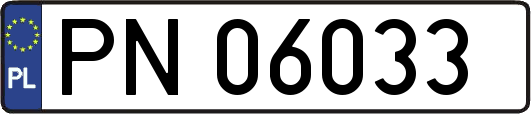PN06033