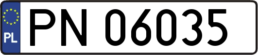 PN06035