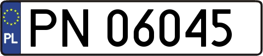 PN06045