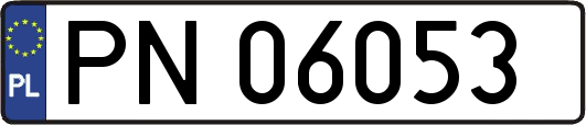 PN06053
