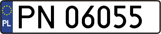 PN06055