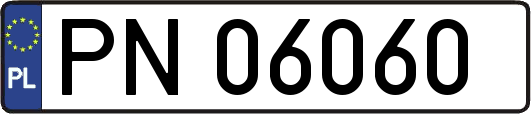 PN06060