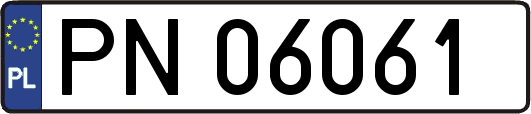 PN06061