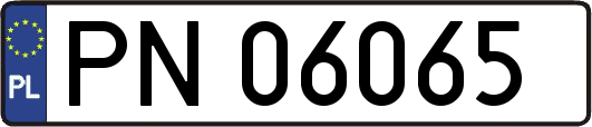 PN06065