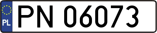 PN06073