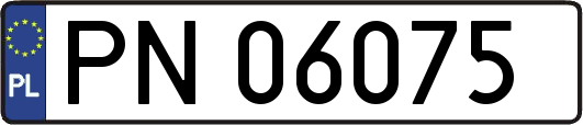 PN06075