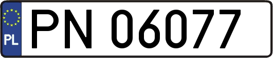 PN06077