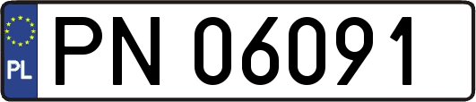 PN06091