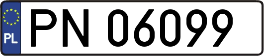 PN06099