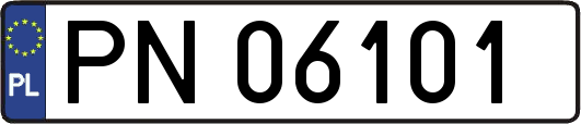 PN06101