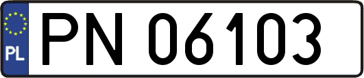 PN06103