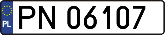 PN06107
