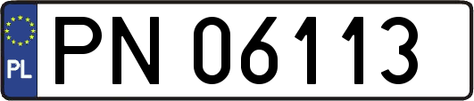 PN06113