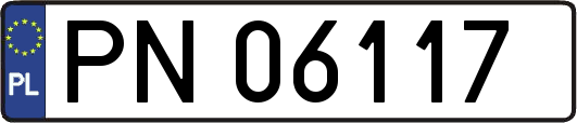 PN06117
