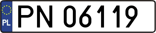 PN06119