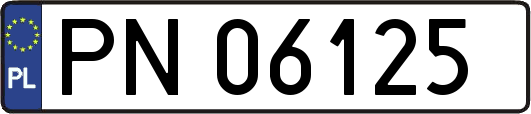 PN06125