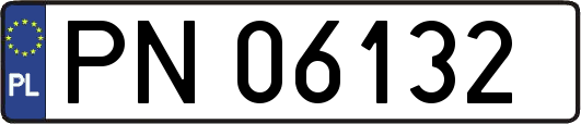 PN06132