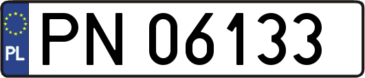 PN06133
