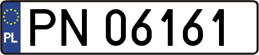 PN06161