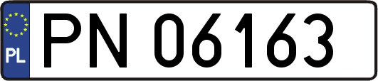 PN06163