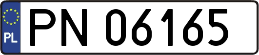PN06165