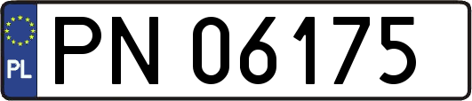 PN06175