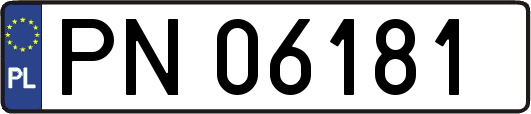 PN06181