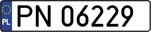 PN06229