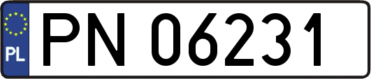 PN06231