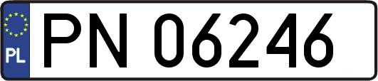 PN06246
