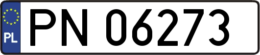 PN06273