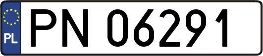 PN06291