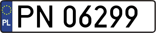 PN06299
