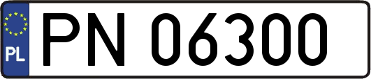 PN06300