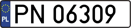 PN06309