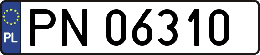 PN06310