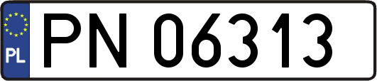 PN06313