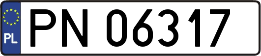 PN06317