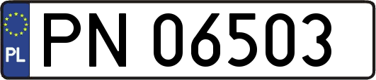 PN06503