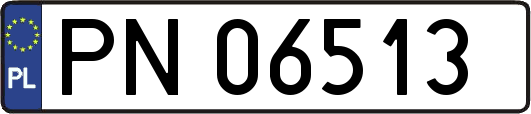 PN06513