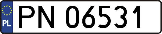 PN06531