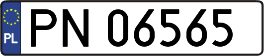 PN06565
