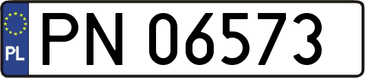 PN06573