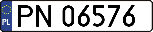 PN06576