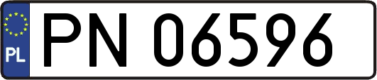 PN06596